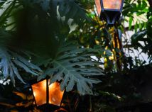 Mittwoch,  7. Januar 2026