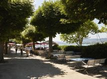 Mittwoch,  7. Januar 2026