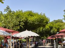 Mittwoch,  7. Januar 2026