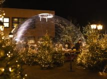 Mittwoch,  7. Januar 2026